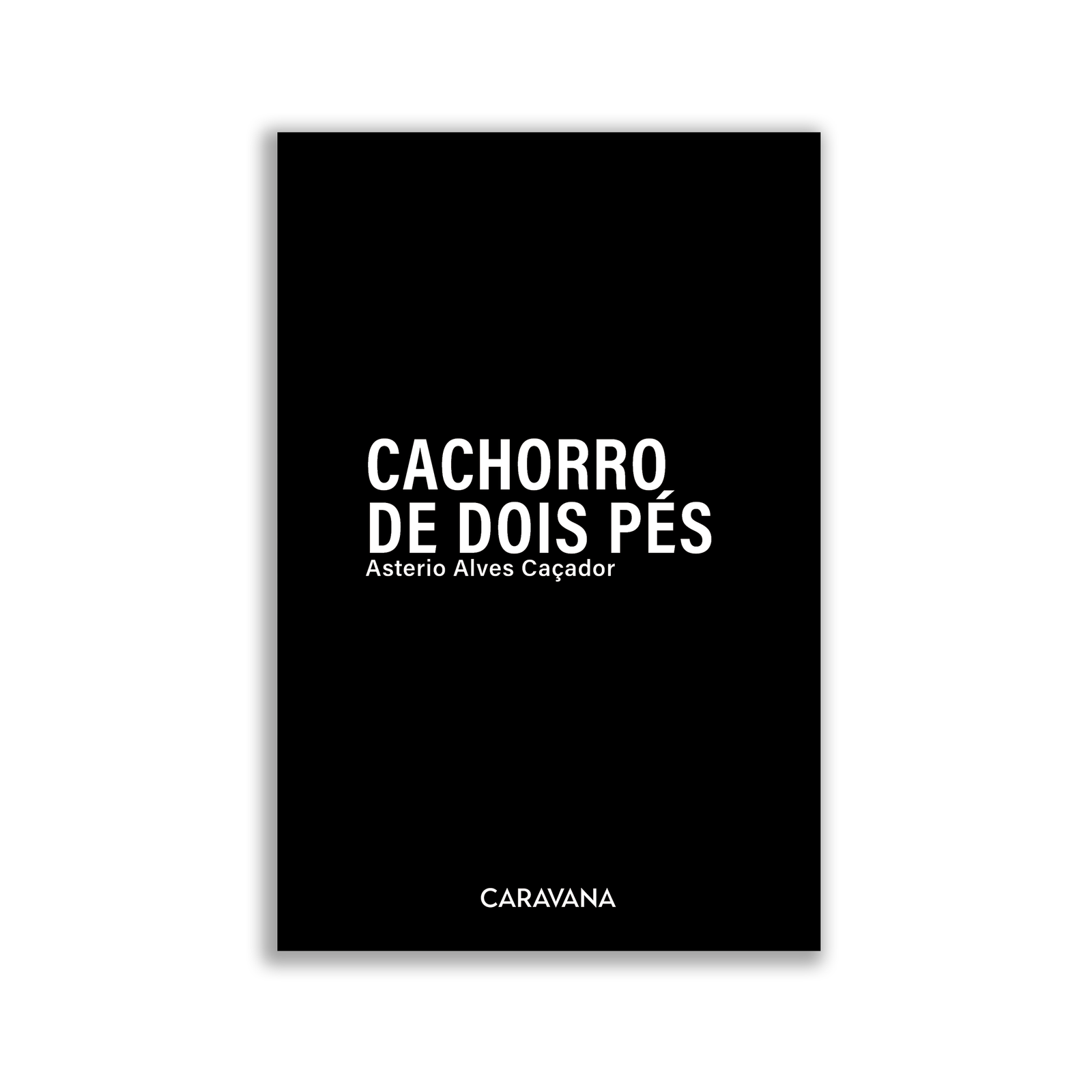 Cachorro de dois pés