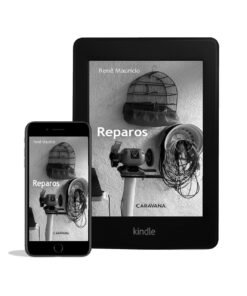 Reparos | Ebook formato Kindle