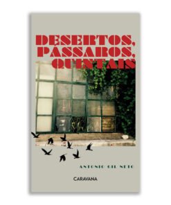 Desertos, pássaros, quintais