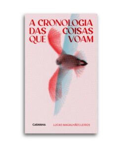 A cronologia das coisas que voam