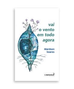 Vai o vento em todo agora