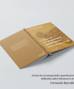 Cartas de um pesquisador quando jovem: reflexões sobre literatura e arte