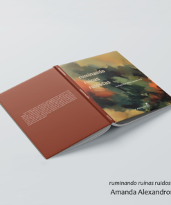 ruminando ruínas ruidosas